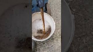 What Carpetbird can extract from your Carpet