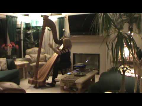 Jazz Harpist Lori Andrews plays 