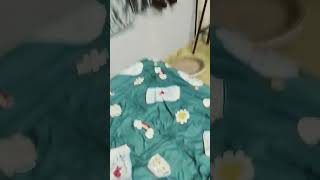 Download lagu GC d! vc h CBC k ok kfn ezdxnhhm. rmxy mp3 Download lagu GC d! vc h CBC k ok kfn ezdxnhhm. rmxy mp3