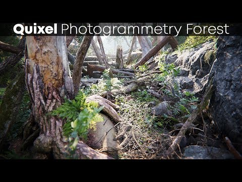 Imagine TES VI looked like This | Quixel Megascans Most Realistic Forest (1440p)