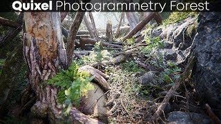 Imagine TES VI looked like This | Quixel Megascans Most Realistic Forest (1440p)