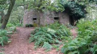 preview picture of video 'WWII bunker in the Surrey Hills'