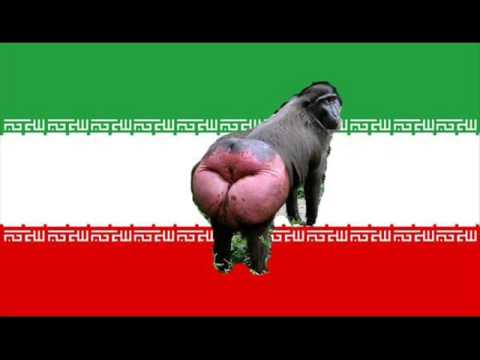 Iran Animals Republic