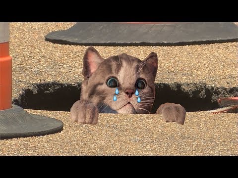 Lindo Gatito Aventuras - Educación de animación dibujos animados - Niños Aprende los Colores