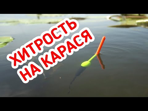 Фото РЫБАЛКА на КАРАСЯ! Лучшая насадка на карася - РВАНЫЙ КРАСНЫЙ!