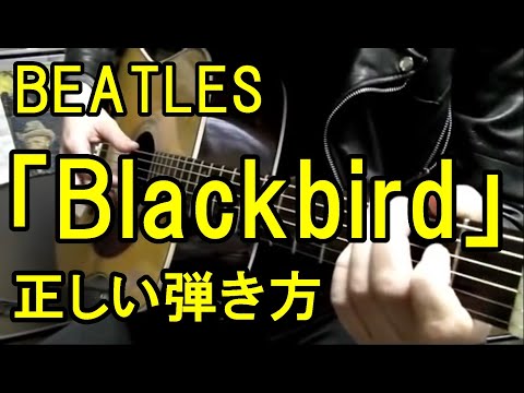 BEATLES「Blackbird」正しい弾き方 Beatles 「Blackbird」 correct way to play guitar