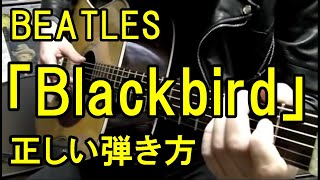 BEATLES「Blackbird」正しい弾き方 Beatles 「Blackbird」 correct way to play guitar