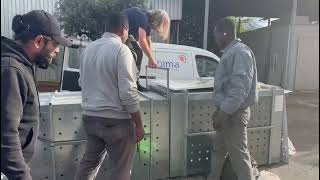 Cubs transfer to flight Crate