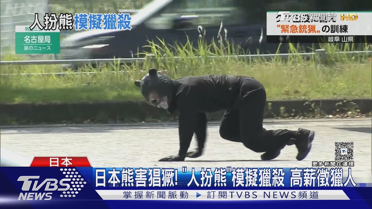 影音／日本熊害猖獗！「人扮熊」模擬獵殺　地方祭高薪徵求獵人