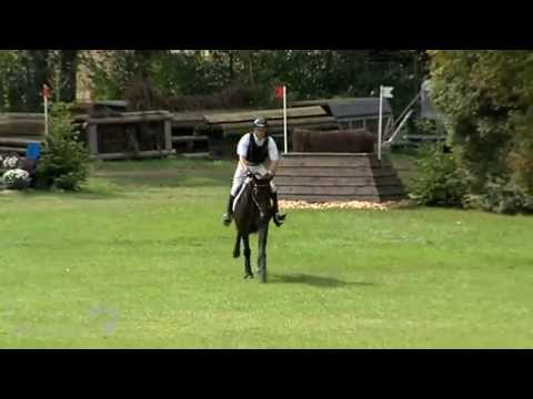 Bundeschampion 2014 - Fünfjährige Vielseitigkeitspferde: Corrida von Contendro I - Espri