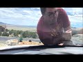 Leland Physically Hurting His Dad Compilation Oh Shiitake Mushrooms