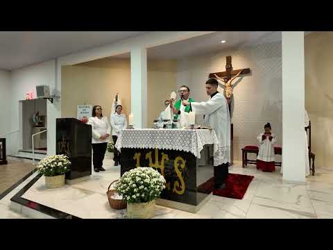 2ª Novena Dia 11/07/2026
