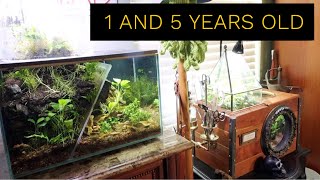 Bog Filter Tanks Update: Steampunk and Tiny Island aquariums