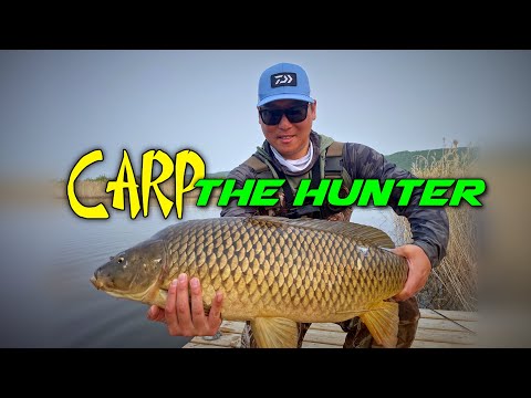 Fishing is A Great Hobby (First Carp on Lure) Fun Fight!