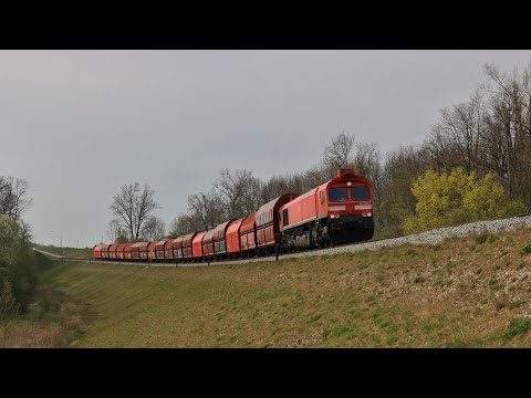 Die ex MEG Class im Linienstern, im Dienst nun wieder bei DB Cargo! (077 012, 077 023 und 266 442)