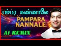பம்பர கண்ணாலே காதல் Pampara Kannale Kathal Tamil Old Song Ai Remix