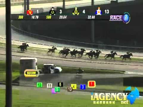 SINGAPORE RACE 03/01/2014 RACE 7 - iAgencyNet.com