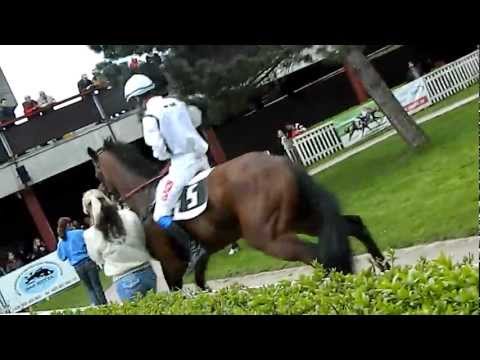 Velká Chuchle 22.4.2012 - Robinson v Paddocku