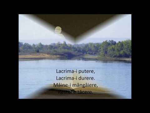 Portret de autor Daniel Dumitru Darie