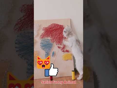 Funny cat Art funny cat video  ! #shorts #shortsfeed #shortvideo  #cat