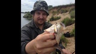 Приманки garry angler fox maggot