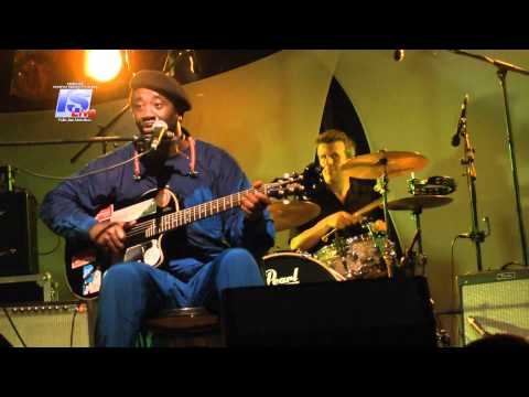 terry harmonica bean