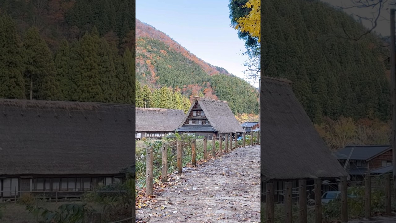 Walking into Suganuma village #japan #asmr