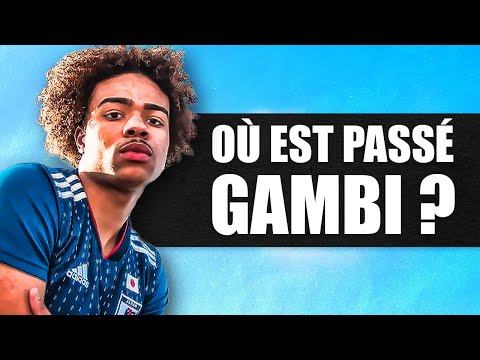 Où est passé GAMBI ? (La vérité..)