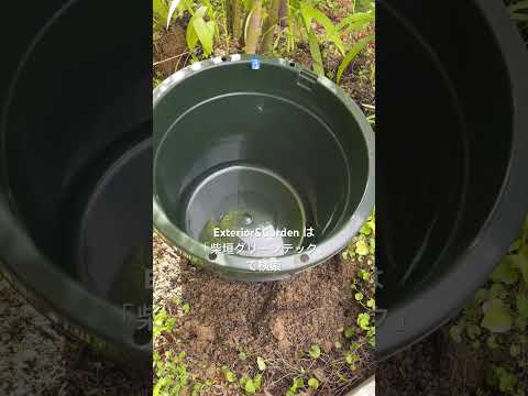 bassin-jardin-naturel-forme-ronde-cascade-pavilon-cuivre