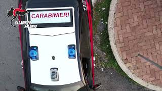 blitz-dei-carabinieri-nell-agro-scoperte-87-piante-di-marijuana