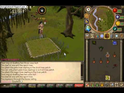 runescape farming : magics and palm run