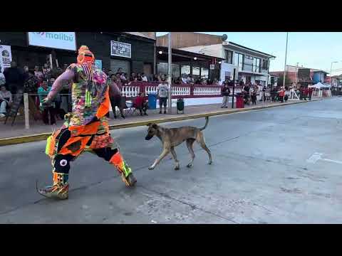Karcocha en Pichilemu. El perro se pasó de listo. FINAL ÉPICO