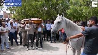 Sereno the horse appearing to CRY at his owners funeral in Brazil!