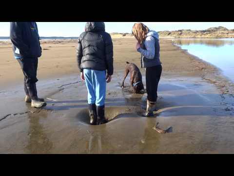 Quicksand:  Part 3 of 3