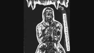 Necrovation - Rot to Rebirth