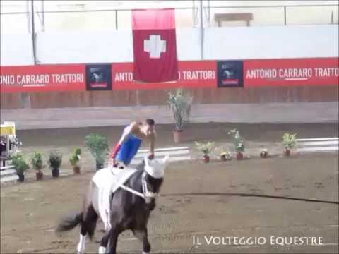 CVI Portogruaro 2016 - Volteggio - Ind 2* j F - 15° Sophie Pittl