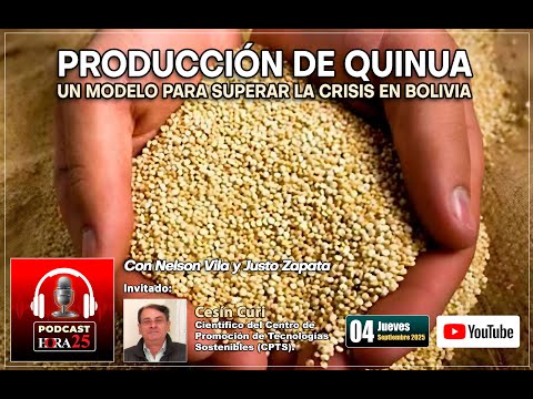 Producción de quinua. Un modelo para superar la crisis en Bolivia