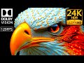 ANIMAL KINGDOM 24K HDR 4K Forest Wonders In 120FPS Dolby Vision