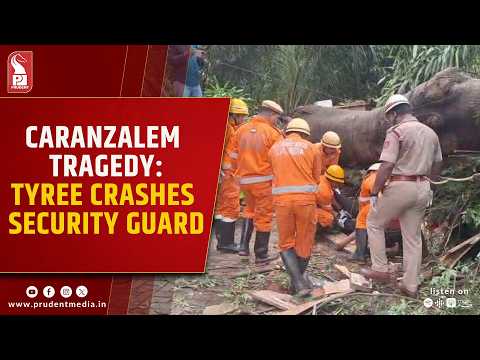 Security Guard Dies After Tree Crashes Onto Cabin At Caranzalem