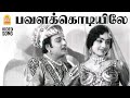 Pavalakodiyile HD Video Song பவளக்கொடியிலே Panam Padaithavan MGR TMS