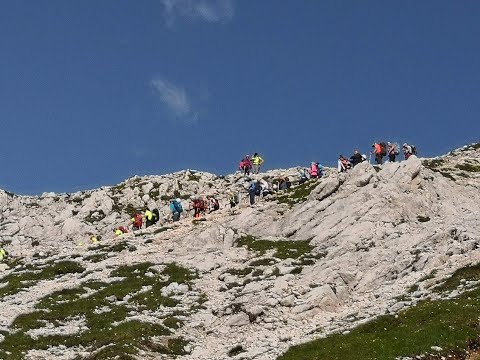 DUO SIMI   Vaše Dlani