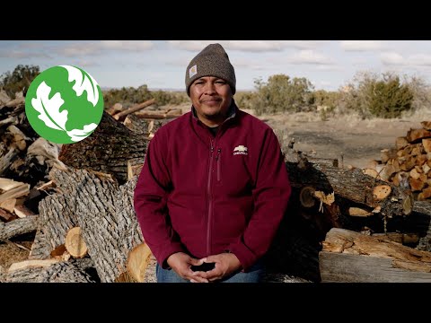 Wood For Life for the Hopi