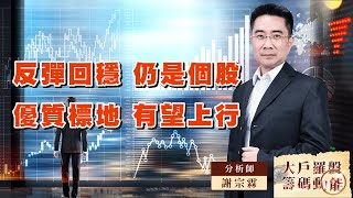 反彈回穩 仍是個股 優質標地 有望上行｜大戶羅盤籌碼動能 ｜謝宗霖 (圖)