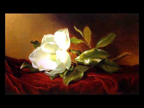 Ballroom dance music / Venice music (Georges Bizet Carmen opera habanera instrumental song)