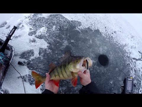 PILKKIKAUDEN AVAUS  3.12.21. 3 AHVENTA YLI KILON, SUURIN 1,5 KG.