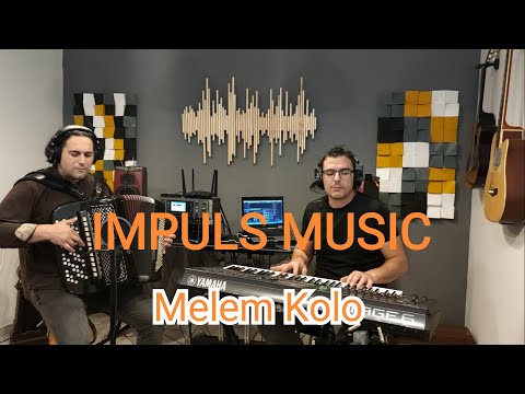 Nikola Savić - Melem kolo (Ljubiša Pavković)