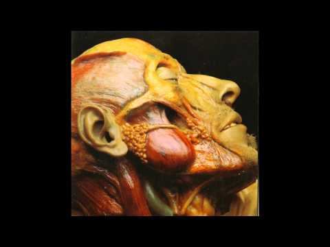 Lymphatic Phlegm - Show-off Cadavers - The Anatomy of Self Display FULL ALBUM (2007 - Goregrind)