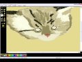 Sarrisdraw Wmv