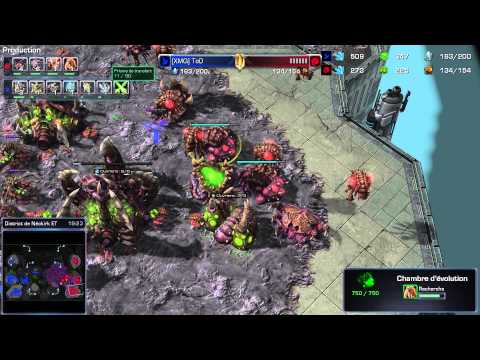 (HD842) Tod vs Stephano - PvZ - Heart of the Swarm [FR]