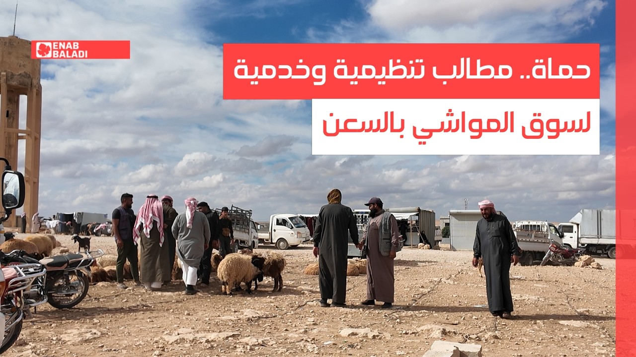 حماة.. مطالب تنظيمية وخدمية لسوق المواشي بالسعن